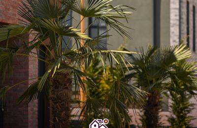 Fshati Gjelbër, Moglicë, Banese 2+1, 102.69m²