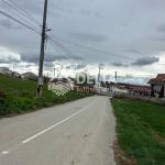 Truall në shitje në Bardhosh