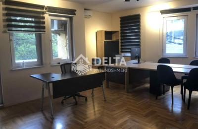 Zyrë me qira në Qendër