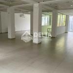 Ofrohet me qira hapesire afariste ne Qender