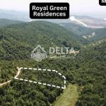 Truall në shitje në Zllatar