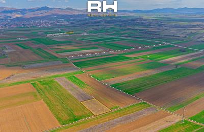 Truall 20 ari në SHITJE në Graçanicë