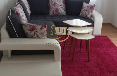 Banesë me qira në Qendër