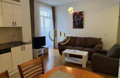 Banesë me qira në Qendër