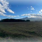 Ringa (Toka me 6Ha në fsh,Rakaj)402/24