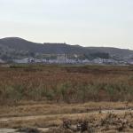 Shitet toka industriale prane Universitetit ne Spitall Durres