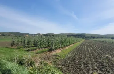 Pjesë Toke në shitje Spille – Shitet toke ne Koder Spille pamje nga deti.