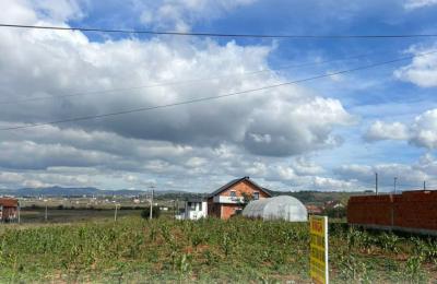 Ringa (Shitet Toka ne Babush-Gadime)347/22