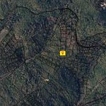 Truall 9Ari për SHITJE, Zllatar