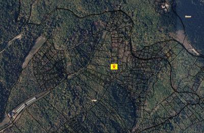 Truall 9Ari për SHITJE, Zllatar