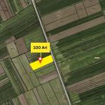 Truall 100 Ari për SHITJE, Suhadoll