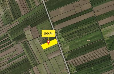 Truall 100 Ari për SHITJE, Suhadoll