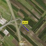 Truall 42 Ari për SHITJE, Konjuh