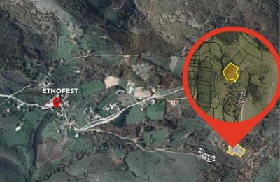 Truall 60Ari për SHITJE, Kukavic