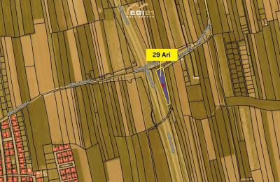 Truall 29 Ari për SHITJE, Preoc