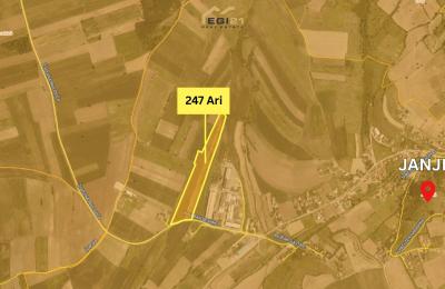 Truall 247 Ari për SHITJE, Janjevë