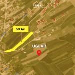 Truall 50Ari për SHITJE, Uglar