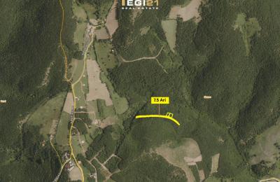 Truall 7.5Ari për SHITJE, Marec