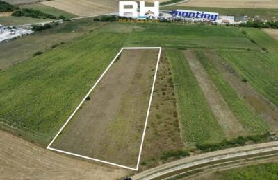 Truall 90 ari në #SHITJE në Mazgit