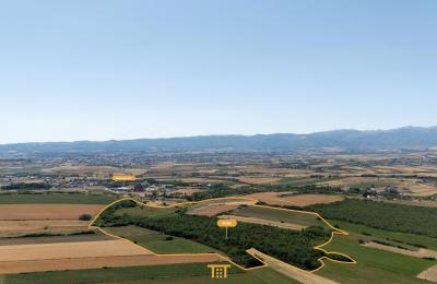 Truall 4 Ha për #SHITJE në Merdar të Podujevës