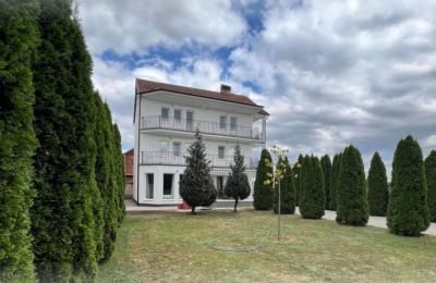 Ringa (Shitet dhe Ipet me Qera Shtepia)399/23