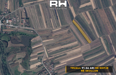 Truall 91.56 Ari në #SHITJE në Skullan