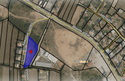 Ringa (Shitet Toka ne Slivove)04/25