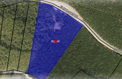 Ringa (Shitet Toka me 62 ari në Bajnicë)03/25