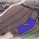 Ringa (Për shitje Toka në Ferizaj)385/24