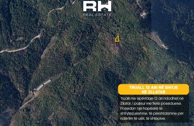 Truall 12 ari në SHITJE në Zllatar