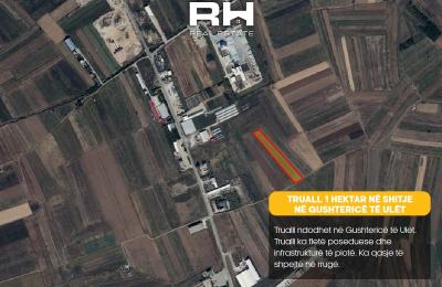Truall 1 Hektar në SHITJE në Gushtericë e Ulët