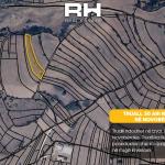 Truall 30 ari në SHITJE në Novobërdë