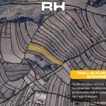 Truall 40.33 ari në SHITJE në Novobërdë