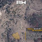 Truall 80.43 ari në #SHITJE në Novobërda