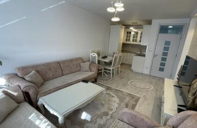 SHITET BANESA  NE FUSHE KOSOVE RR/GJERGJ FISHTA