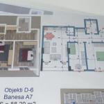 SHITET BANESA TE FAZLI GRAJQEVCI NE FUSHE KOSOVE