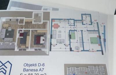 SHITET BANESA TE FAZLI GRAJQEVCI NE FUSHE KOSOVE